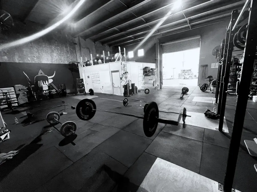 E3 Training
