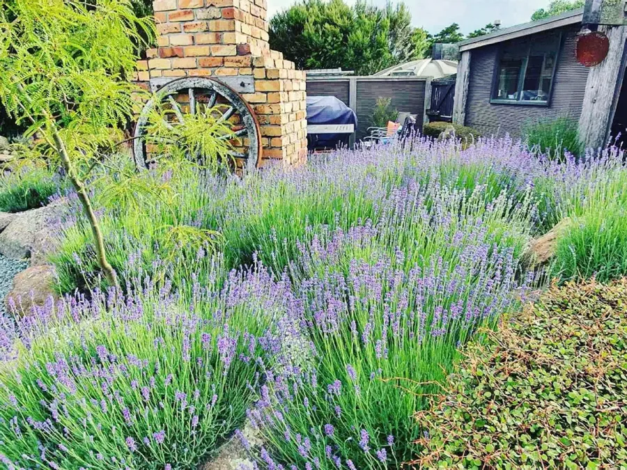 Naked Earth Landscaping