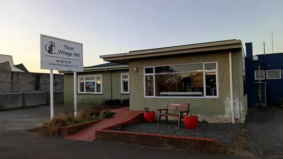 Your Village Vet