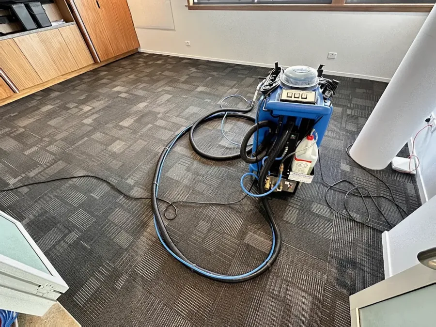 Hygiene Cleaning Services: #1Carpet cleaning in Auckland ||Best Car cleaning