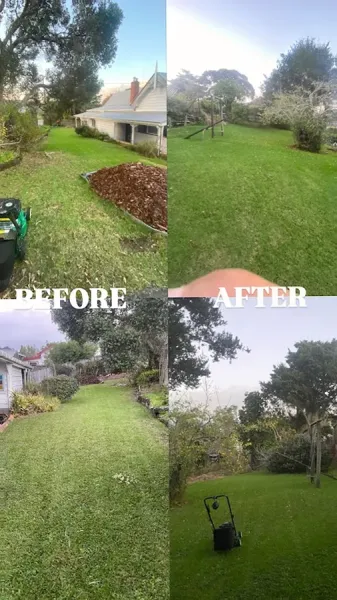 D&Q LAWNS & GARDEN MAINTENANCE