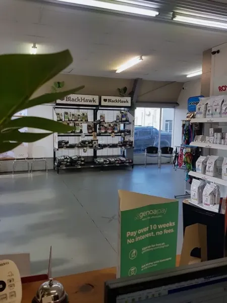 Central Vets Palmerston North
