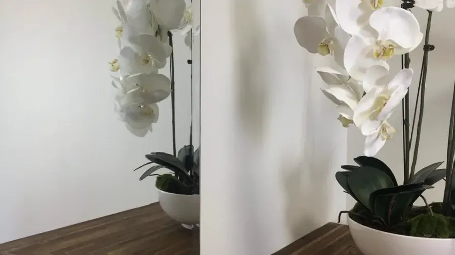 Bliss Beauty Retreat