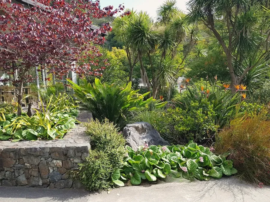 Whangarei Quarry Gardens