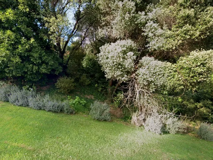 Coromandel Family Health