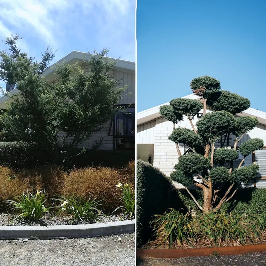 Porter Robinson Landscaping