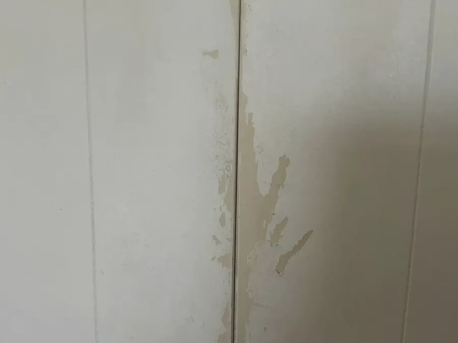 Papamoa Paint & Plaster Ltd