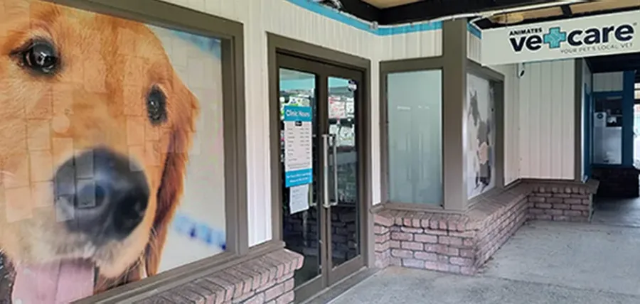 Animates Vetcare Clinic Hokowhitu