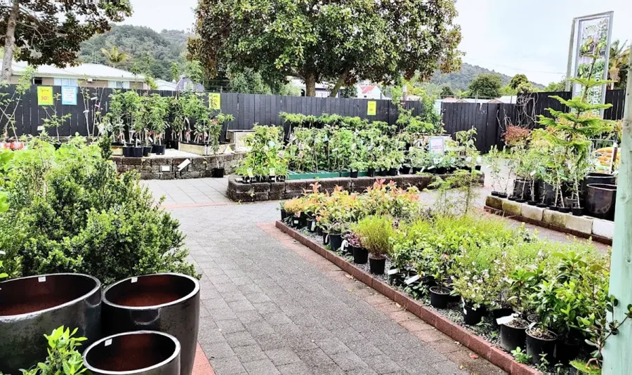 Palmers Whangarei