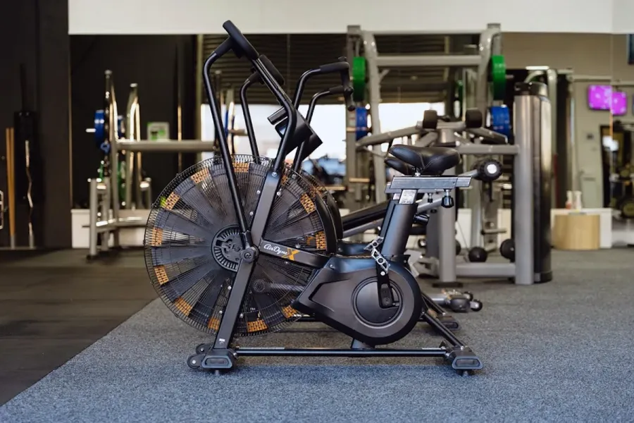 Absolute Weights and Fitness