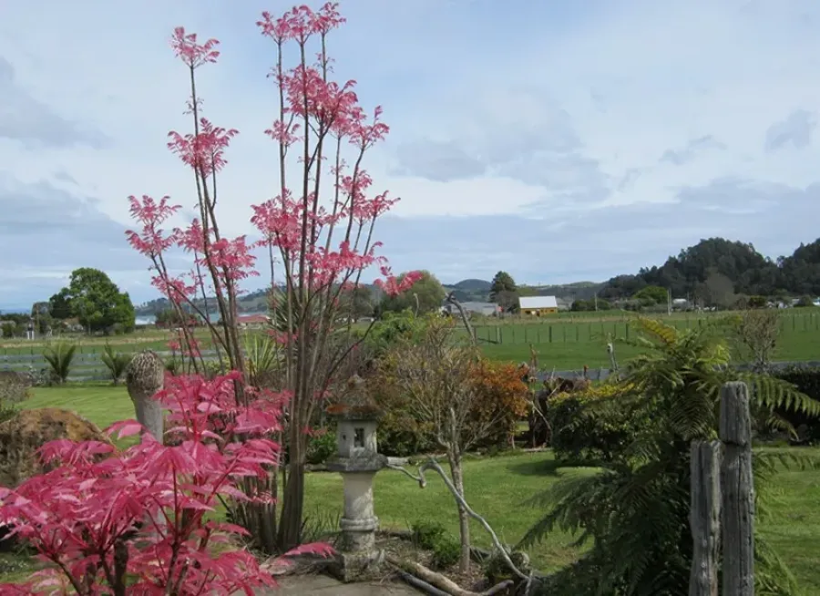 Breakaway Bed & Breakfast