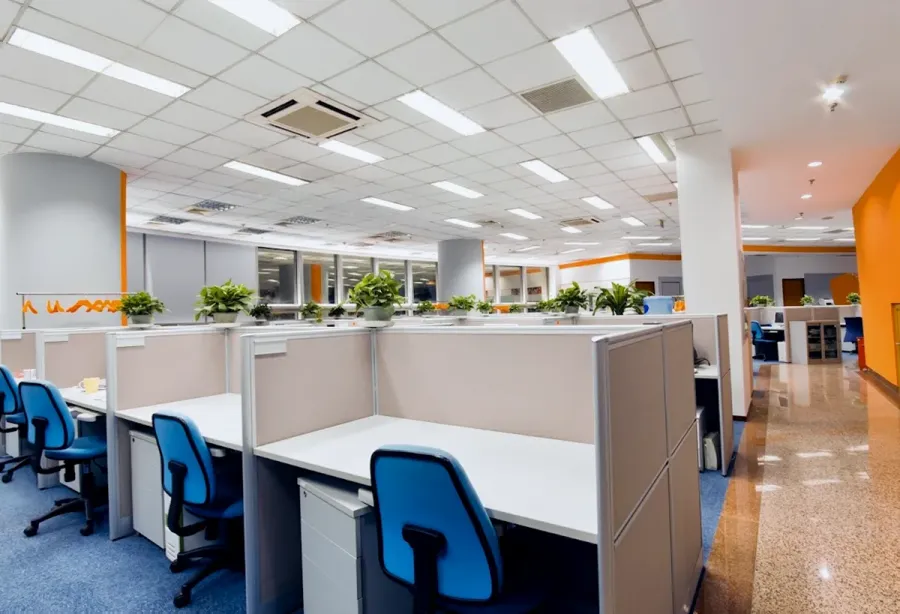 Papakura Pest and Carpet Cleaning