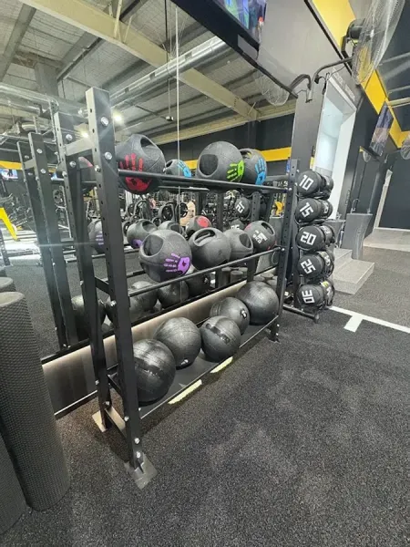 Profiles Gym Papamoa