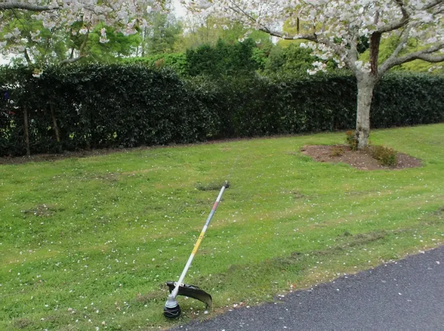 Luke's Lawns Hamilton