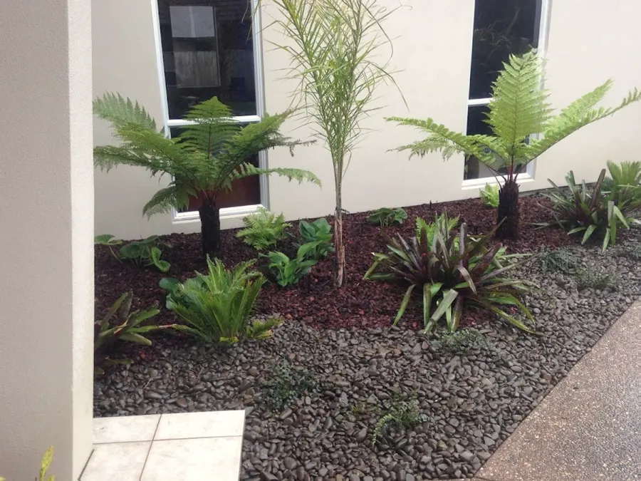 Tree & Garden