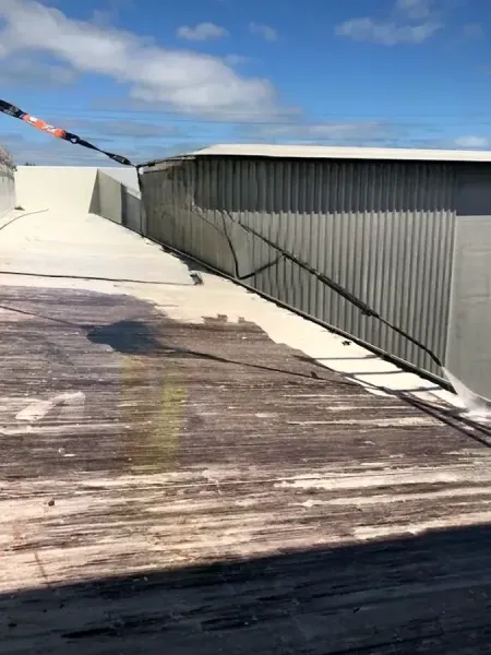 Rapid Facility Services Bird Proofing and Industrial Cleaning