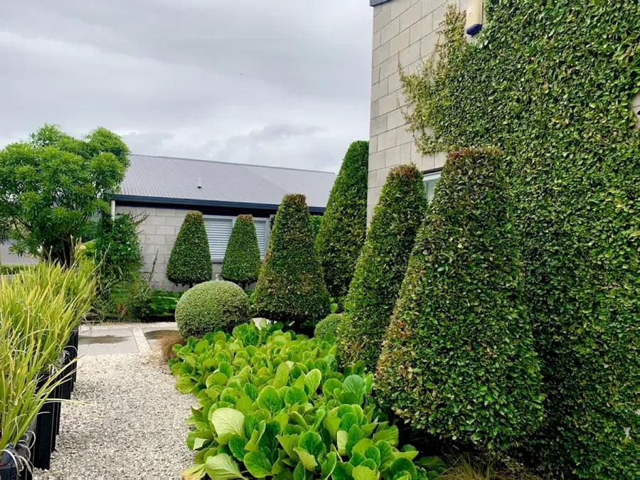 Superb Handyman & Garden Maintenance Work