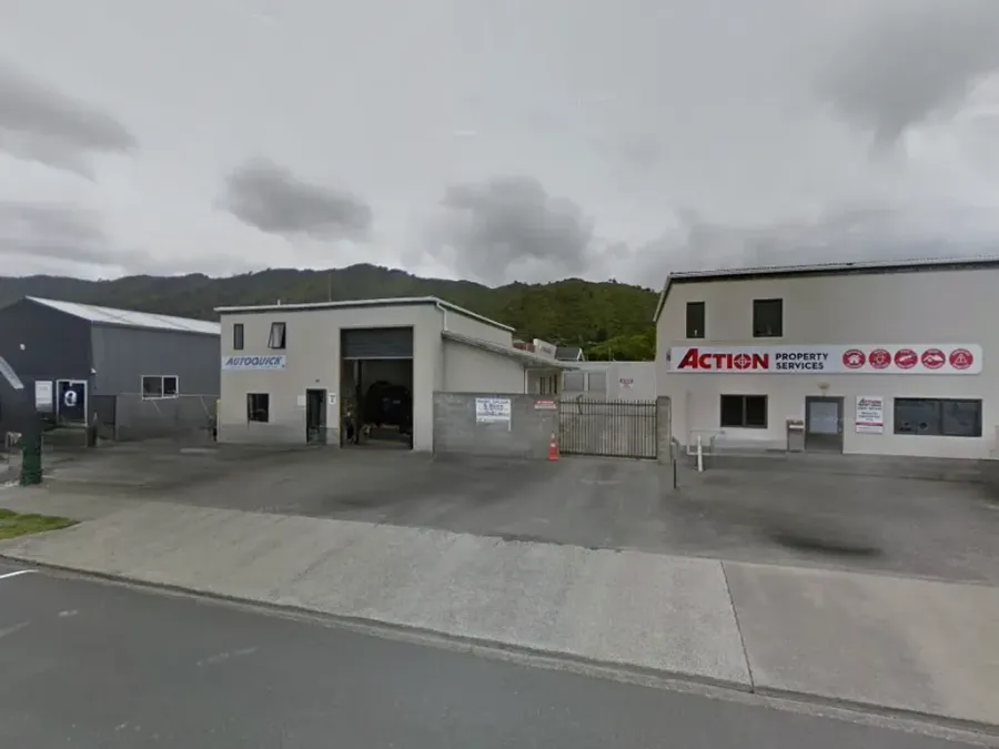 Borer treatment Kapiti