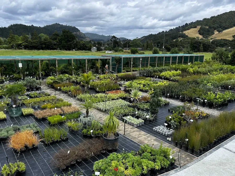 Chops Nursery