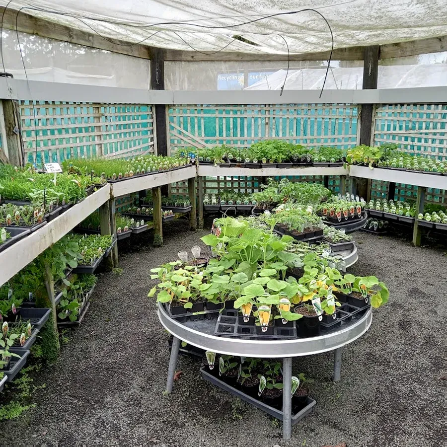 Cbec Landscaping Services