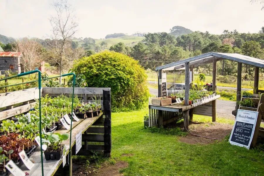 Purangi Plants and Produce
