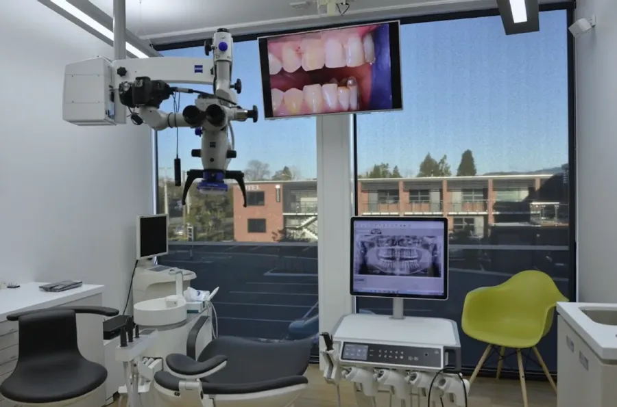 Tauranga Dentists