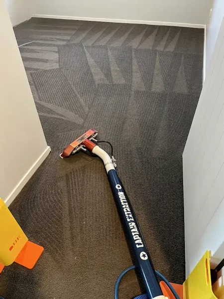 Clean Green Carpet Cleaning & Restoration
