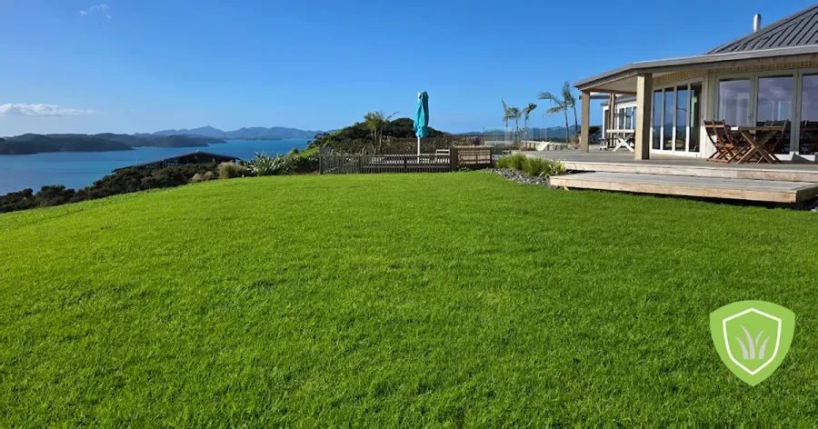 K-TURF Ready Lawn