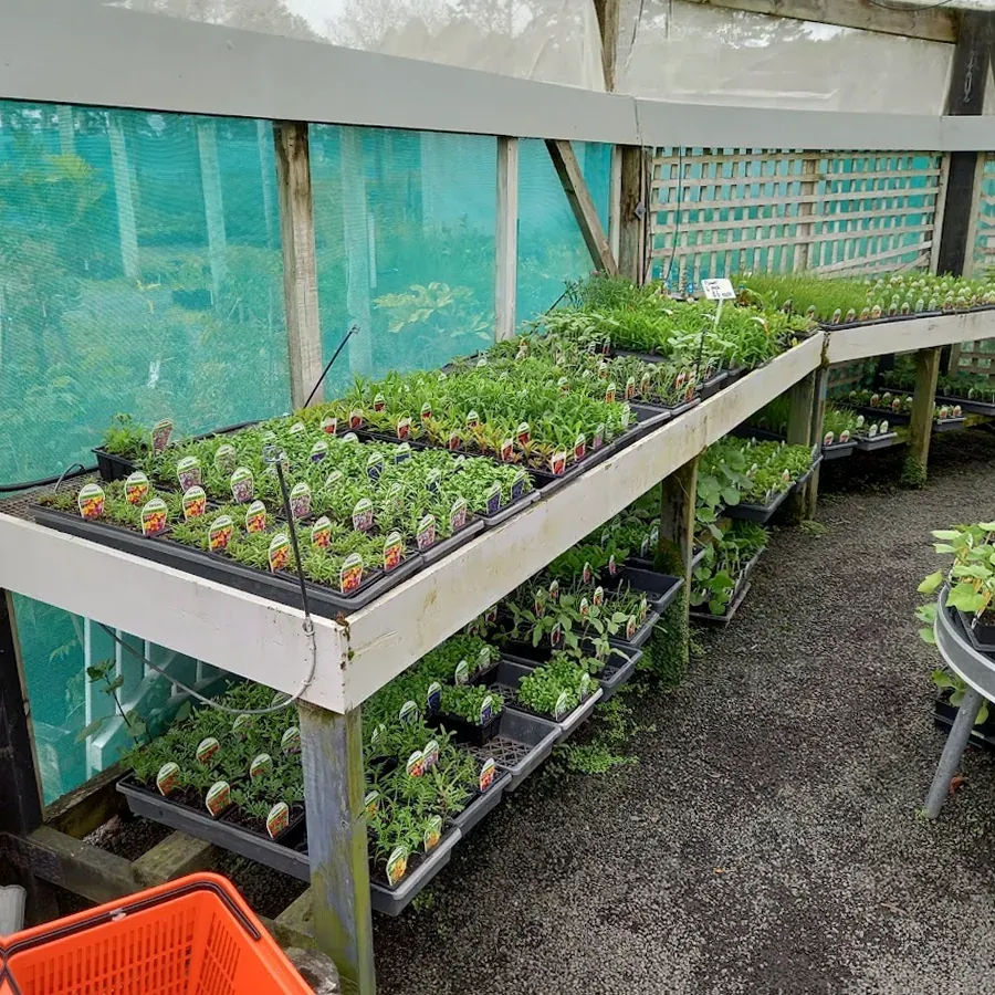 CBEC Garden Centre Kaitaia