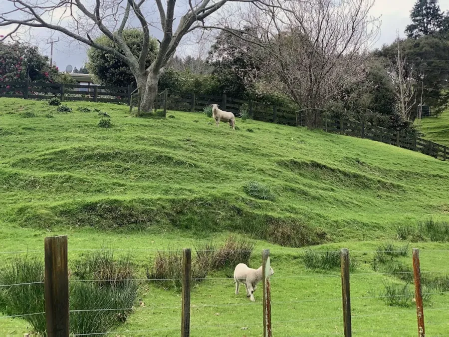 Garden Maintenance