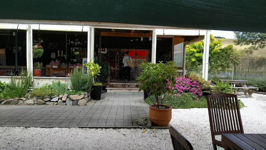 Native Tree Cafe
