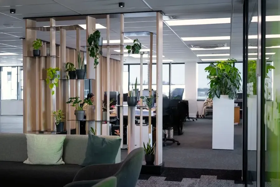Saunders & Co Papanui