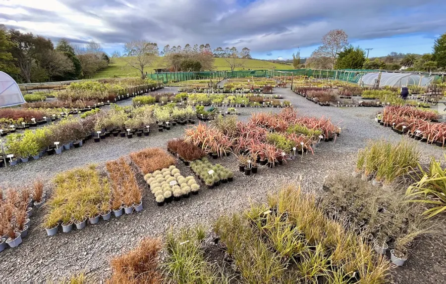 Kerikeri Plant Production