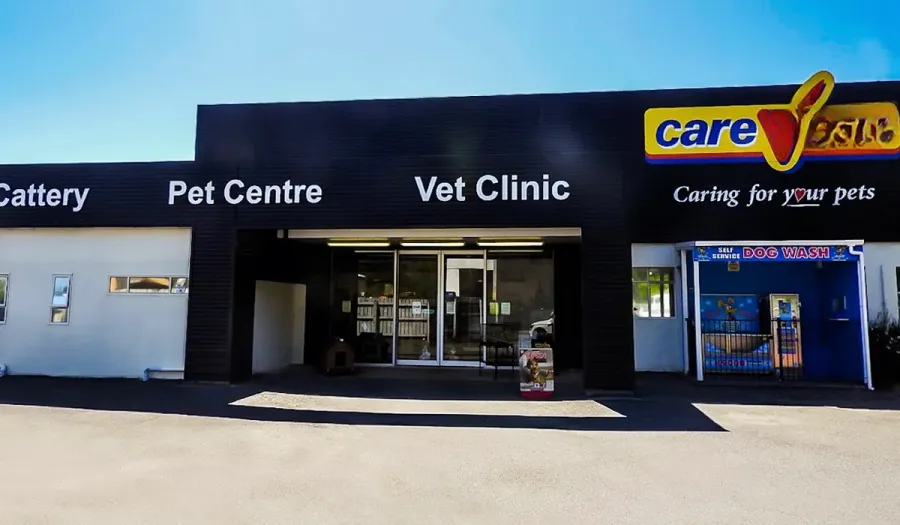CareVets Porirua