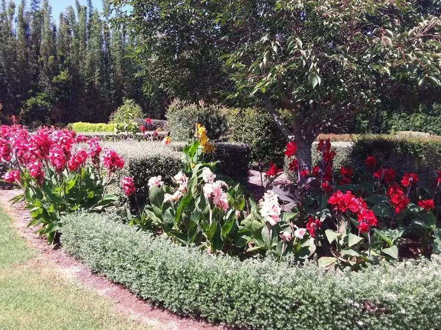 Living On The Hedge