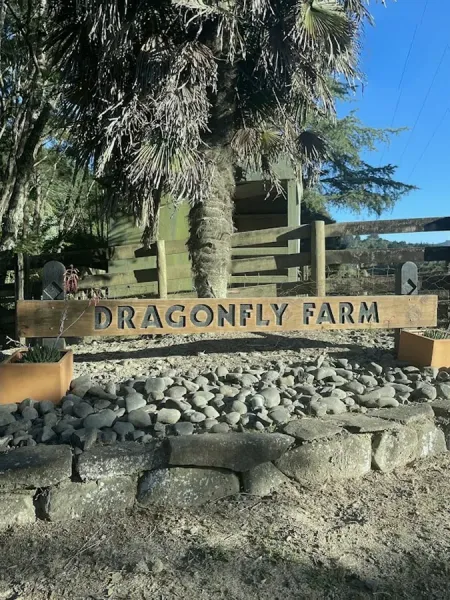 Dragonfly Farm
