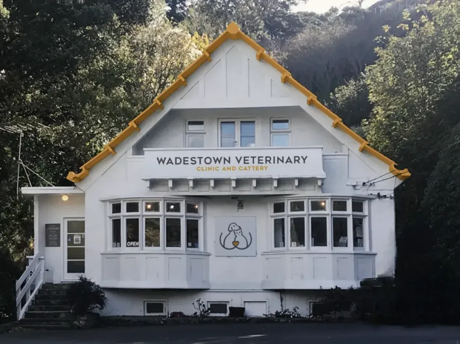 Wadestown Veterinary Clinic and Cattery