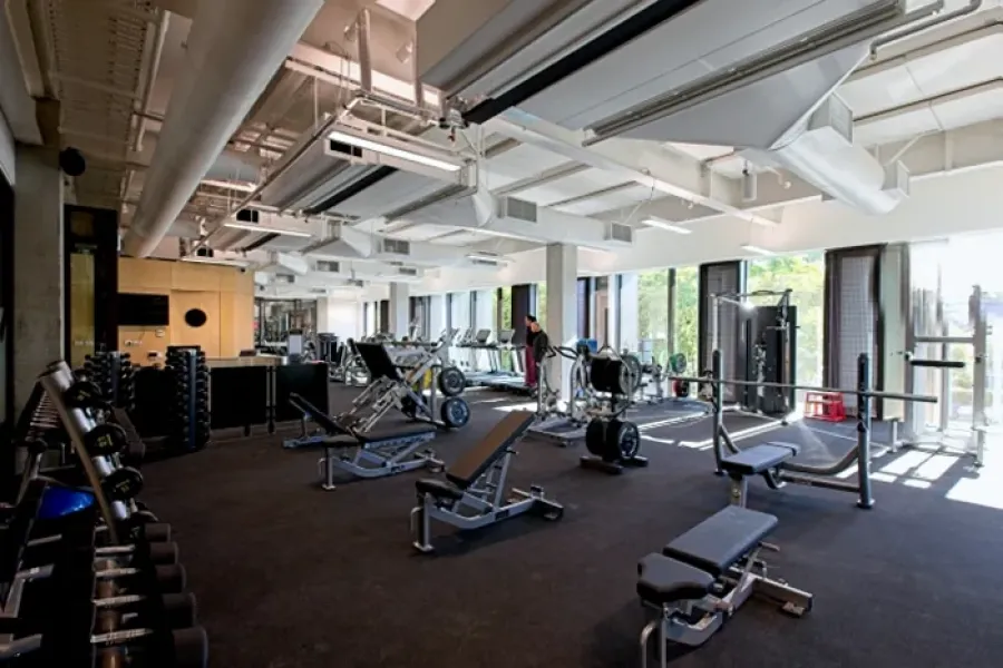 Elevate Fitness Papa Hou