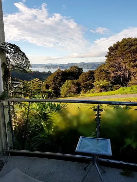 Within the Bays