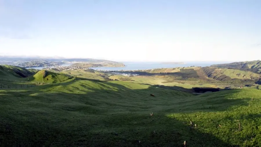 Plimmerton Farm