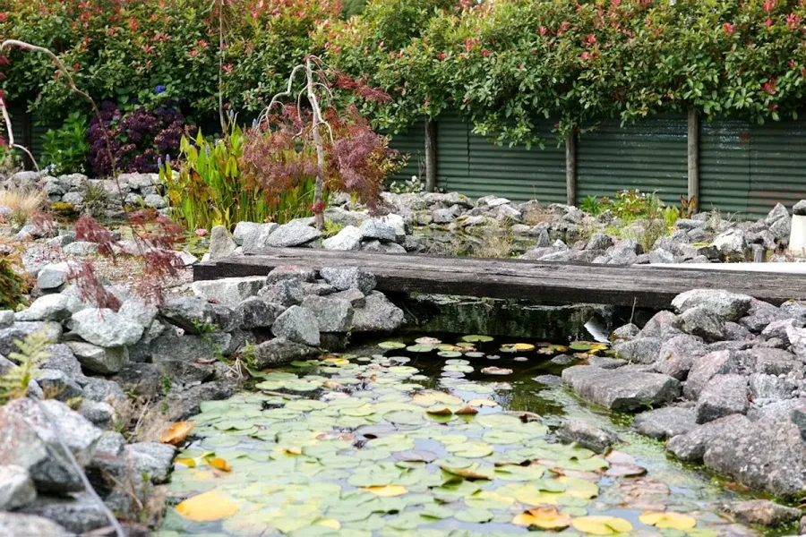 The Grey Area Nursery