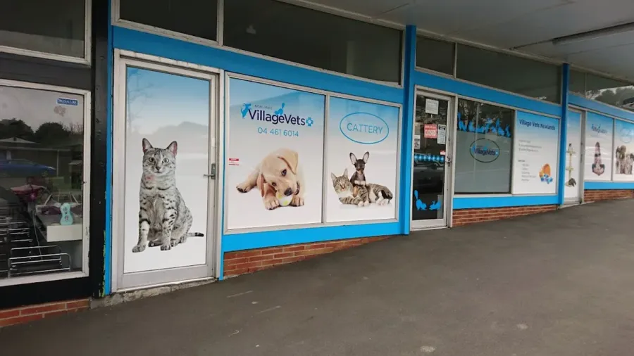 Village Vets Churton Park