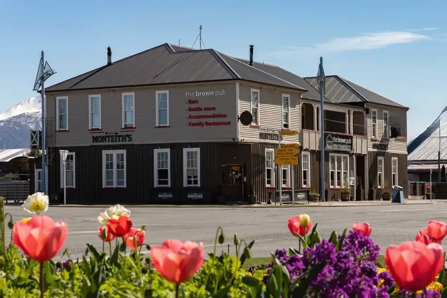 The Brown Pub