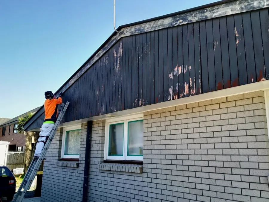 Supreme Painting Christchurch