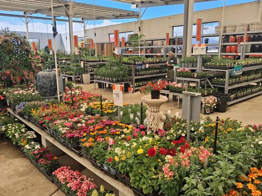 Mitre 10 Westport
