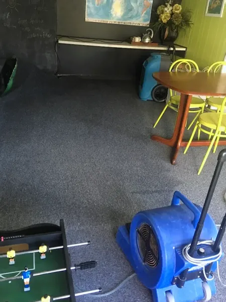 Royale Eco Cleaning Ltd