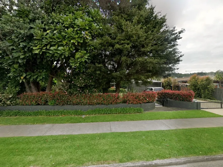 Forensic Accounting NZ