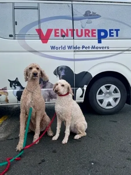 VenturePet