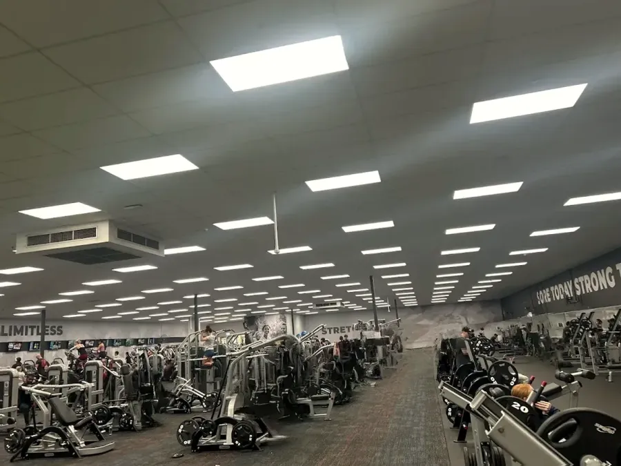 Cityfitness The Palms