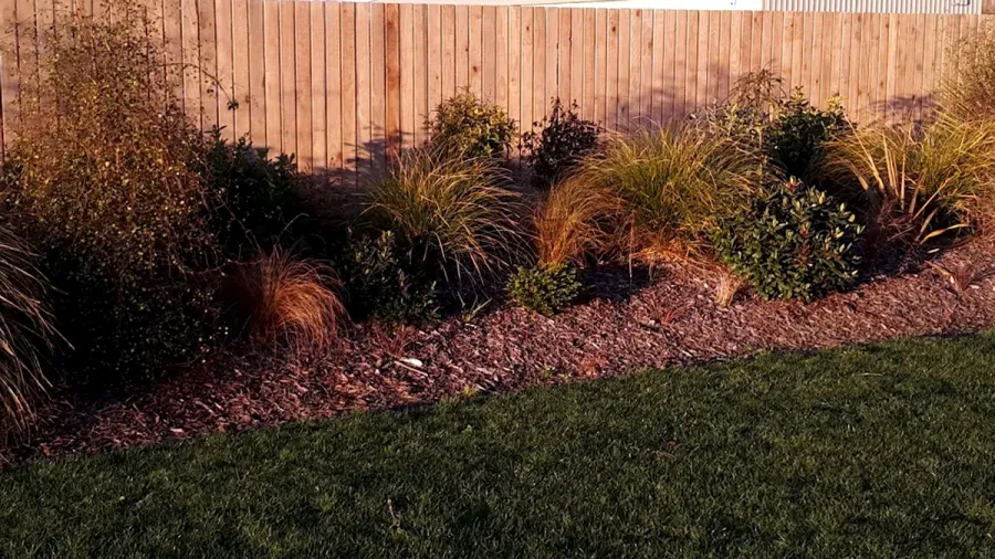 Dig Hawkes Bay - Earthworks & Landscaping